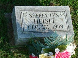 Sherry Lyn Heisel Sherry Lyn Heisel