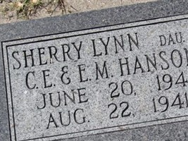 Sherry Lynn Hanson