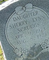 Sherry Lynn Scruggs Sherry Lynn Scruggs