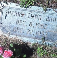 Sherry Lynn White Sherry Lynn White
