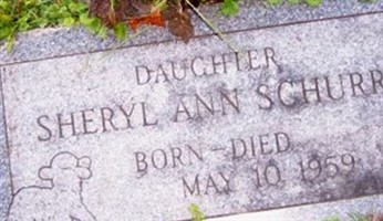 Sheryl Ann Schurr Sheryl Ann Schurr