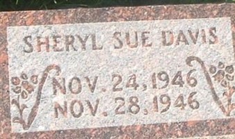 Sheryl Sue Davis