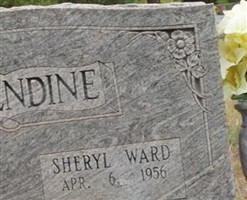 Sheryl (Ward) Brizendine Sheryl (Ward) Brizendine