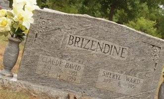 Sheryl (Ward) Brizendine Sheryl (Ward) Brizendine