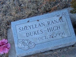 Sheylean Ranae Dukes-High