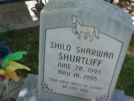 Shilo Sharwan Shurtliff