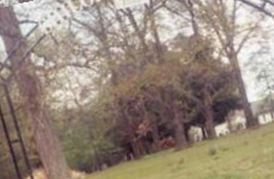 Shiloh Cemetery