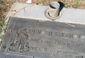 Shinobu Sakamoto