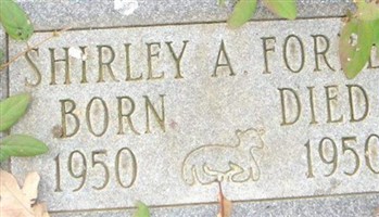 Shirley Ann Forbes Shirley Ann Forbes