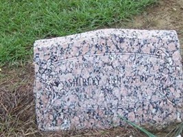 Shirley Ann Stepp