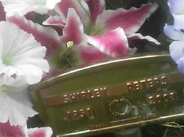 Shirley Campbell Peters