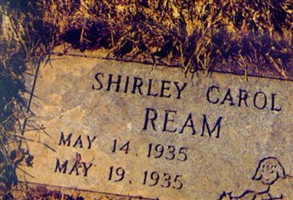 Shirley Carol Ream Shirley Carol Ream