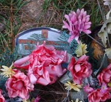 Shirley Hopkins Showalter