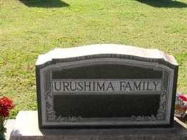 Shizuko Urushima Waters Shizuko Urushima Waters