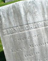 Sibyl Chapin