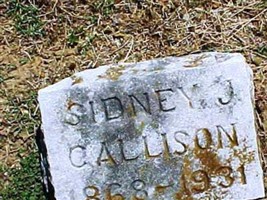 Sidney J. Callison Sidney J. Callison