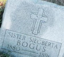 Siegbertam Bogus Siegbertam Bogus