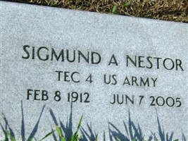 Sigmund A Nestor
