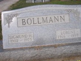Sigmund H Bollmann