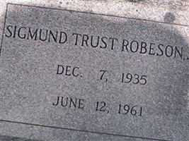 Sigmund Trust Robeson, Jr