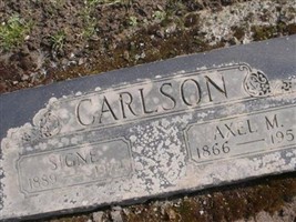 Signe Carlson Signe Carlson