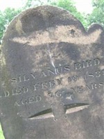 Silvanus Bird