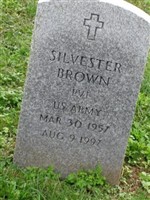 Silvester Brown