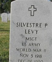 Silvestre P Levy