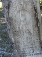 Silvina C. Hall