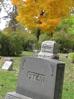 Simeon F Stein