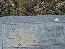 Simon Andrew Wilburn Simon Andrew Wilburn