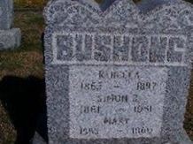Simon B. Bushong
