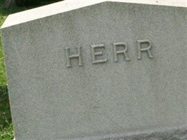 Simon Herr