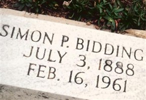 Simon P Biddinger