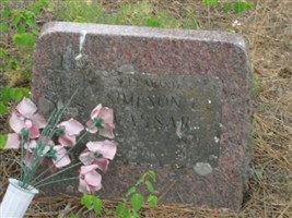 Simpson Edwin Vassar Simpson Edwin Vassar