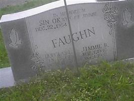 Sin Ok Faughn