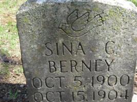 Sina C Berney