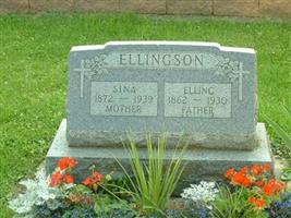 Sina Ellingson