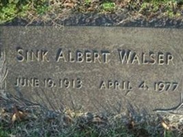 Sink Albert Walser Sink Albert Walser