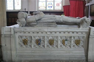 Sir William Carewe