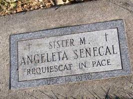 Sister Mary Angelita Senecal