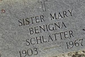 Sister Mary Benigna Schlatter