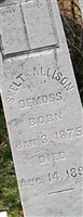 Skelton Allison DeMoss