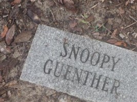 Snoopy Guenther