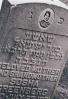 Socha Greenberg