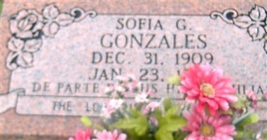 Sofia G Gonzales Sofia G Gonzales