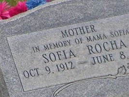 Sofia Rocha Sofia Rocha