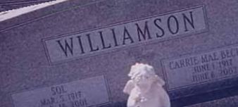 Sol Williamson