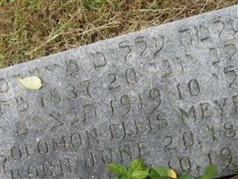 Solomon Ellis Meyers