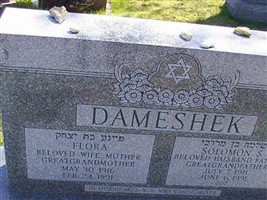 Solomon S Dameshek Solomon S Dameshek